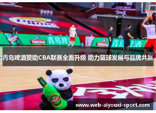 青岛啤酒赞助CBA联赛全面升级 助力篮球发展与品牌共赢